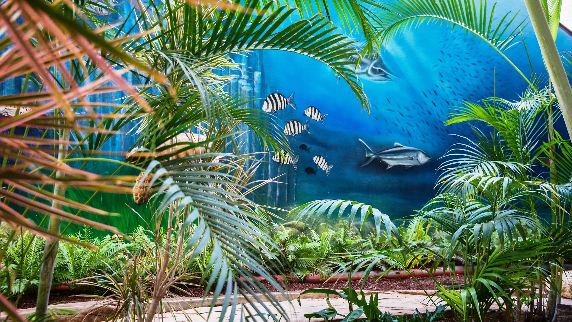 Hovima La Pinta Beachfront Family Hotel 阿德耶